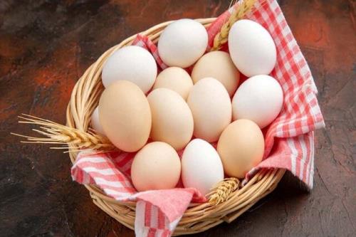 چگونگی صیانت از تخم مرغ برای جلوگیری از مبتلاشدن به سالمونلا